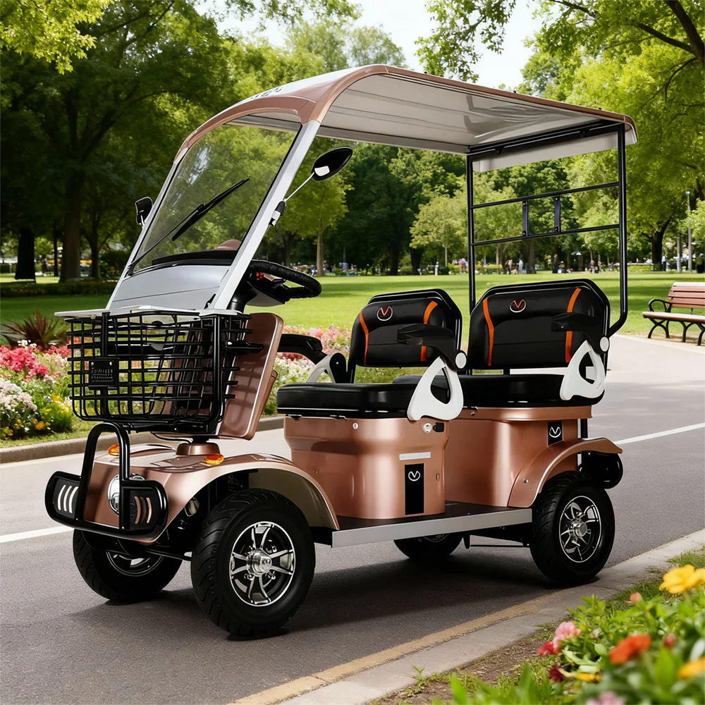 650W 60V 20Ah Electric Mobility Scooter with Long-Range